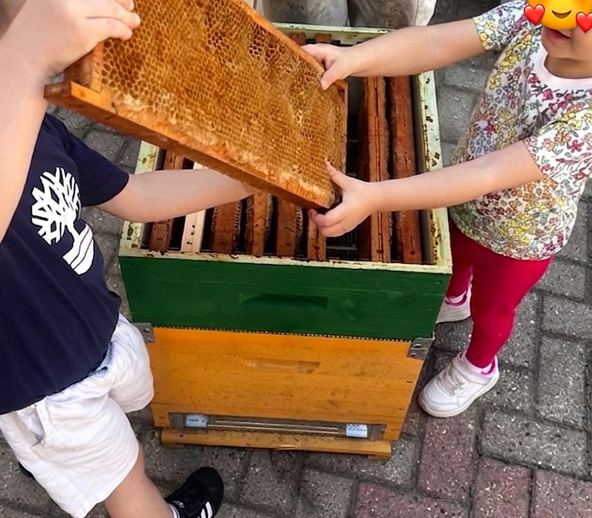 Bambini che sollevano insieme un telaino di cera d'api