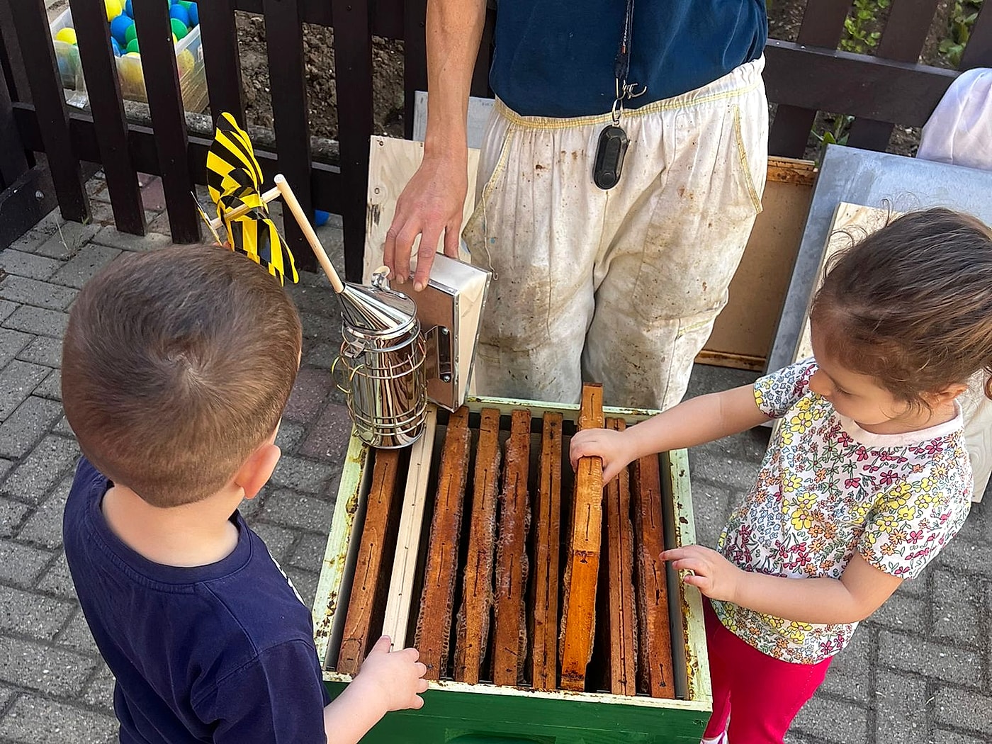 Bambini che toccano con mano i telaini dell'arnia didattica in totale sicurezza